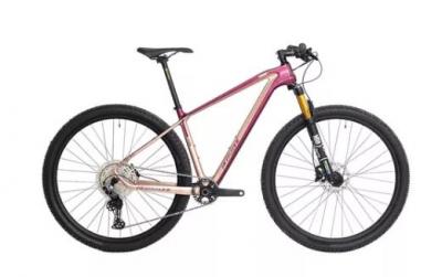 BIKE 29 EVOQUE CARBON 12V