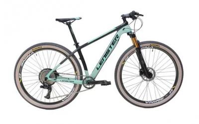 BIKE 29 LENISTER CARBON PREMIUM 27V 29