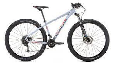 AUDAX ADX 100